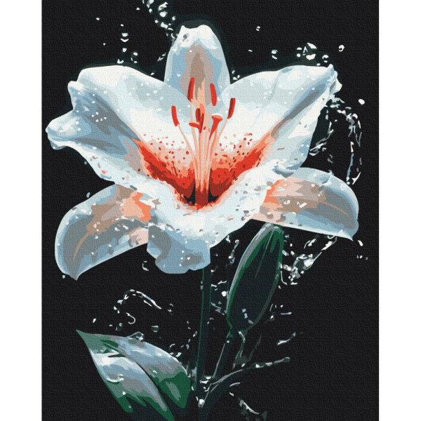 Картина за номерами "Сяйво лілії" BS54156, 40х50 см
