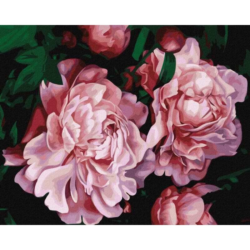 Картина за номерами "Пишне цвітіння" ©Popova Josephine Ідейка KHO3232 40х50 см