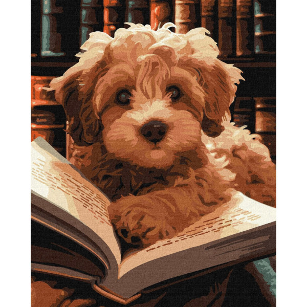 Картина по номерам "Пушистый читатель" KHO6587 40х50 см