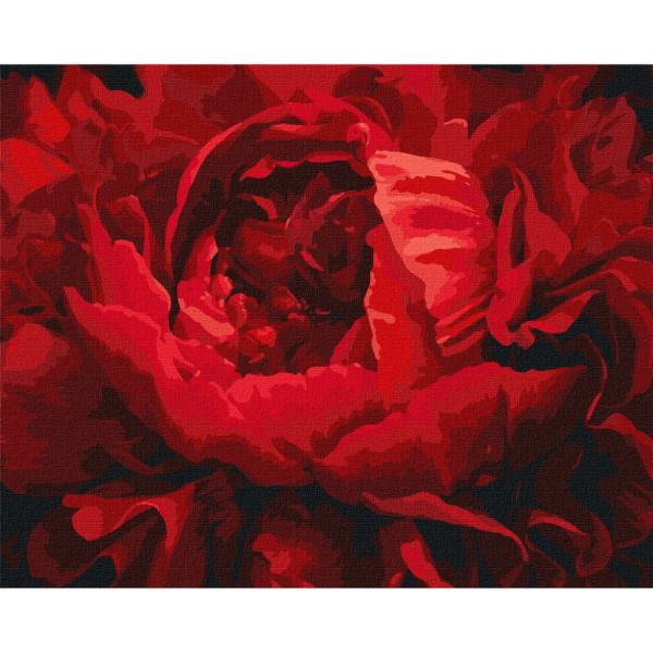 Картина по номерам "Изысканный цветок" Идейка KHO3121 40х50 см