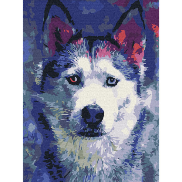 Картина за номерами "Погляд Хаскі" Brushme RBS51460 30x40 см