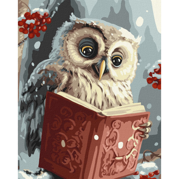 Картина по номерам "Умная совушка" KHO6557, 40х50 см