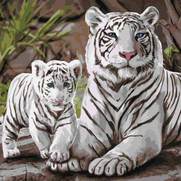 Картина за номерами "Бенгальська родина" KHO4376 40х40 см