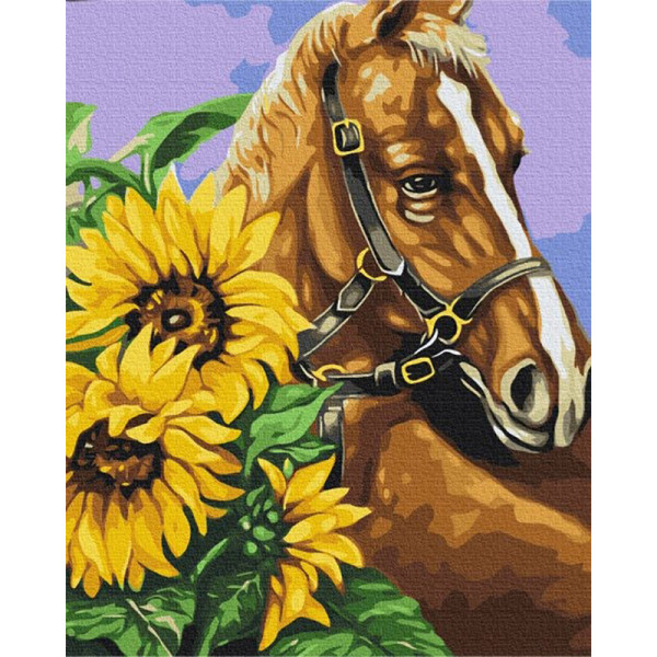 Картина за номерами "Скакун в соняшниках" Brushme BS52898 40х50 см