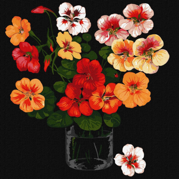 Набор картин по номерам 2 в 1 Идейка "Цветочные крылья" 40х50 KHO4754 и "Настурции" 40х40 KHO2915