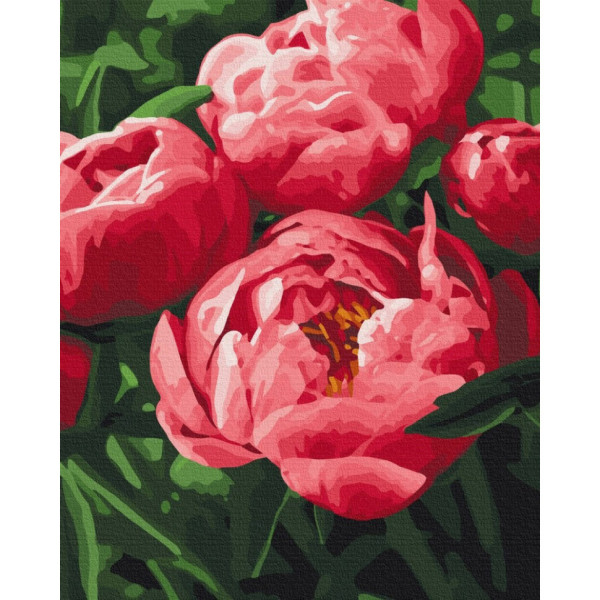Картина за номерами  "Насичений колір півоній" BS51711, 40x50 см
