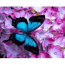 Картина по номерам. Brushme " Бабочка на цветах " GX21627, 40х50 см