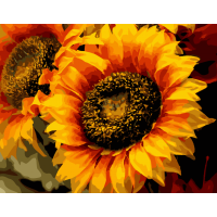 Картина за номерами. Art Craft "Шпигун сонця" 40 * 50 см 13106-AC