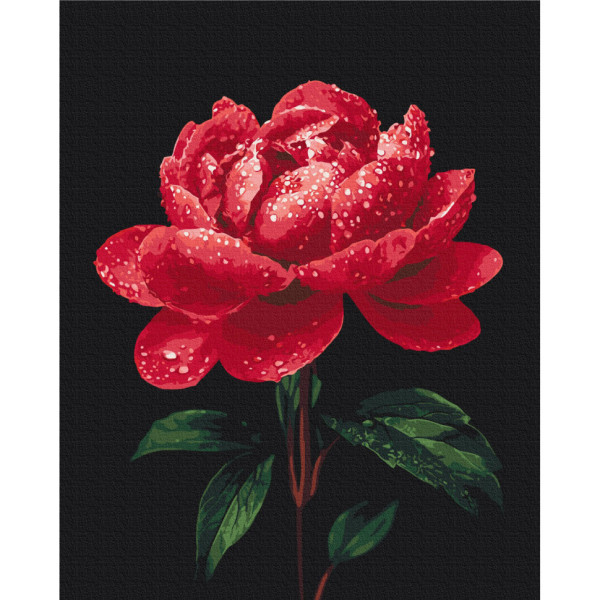 Картина за номерами "Півонії в сяйві роси" BS54148, 40х50 см