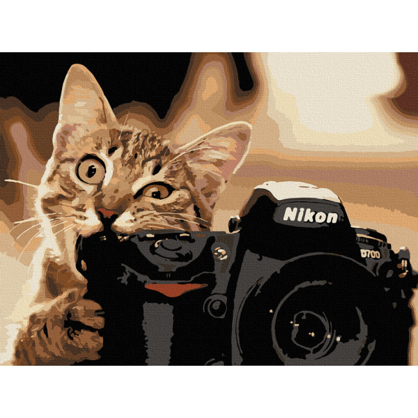 Картина по номерам. Art Craft "Пушистый фотограф" 40*50 см 11608-AC