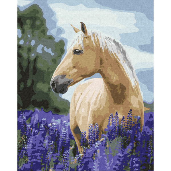 Картина по номерам "Прогулка лавандовым полем" Идейка KHO4392 40x50 см