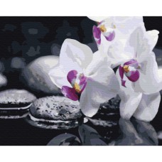 Картина за номерами "Квіти дзену" Brushme BS21140 40х50 см