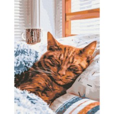 Картина по номерам "Утренняя котик" Brushme RBS52320 30х40 см