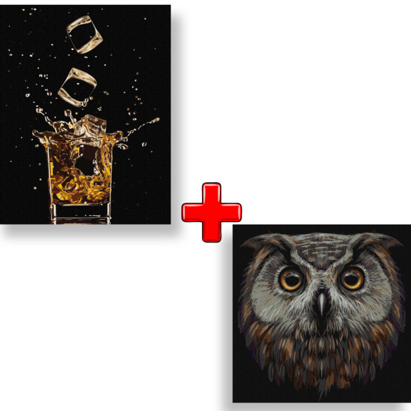 Набор картин по номерам 2 в 1 Идейка "Крепкий вкус" 40х50 KHO5635 и "Птица мудрости" 40х40 KHO4388