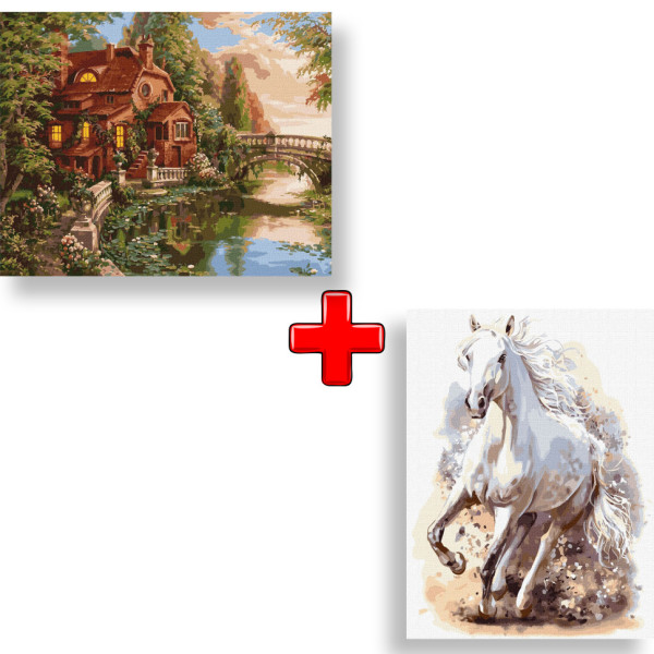 Набор картин по номерам 2 в 1 "Дом-мечта" 40х50 KHO2508 и "Изящная мощь" 30х40 KHO4259