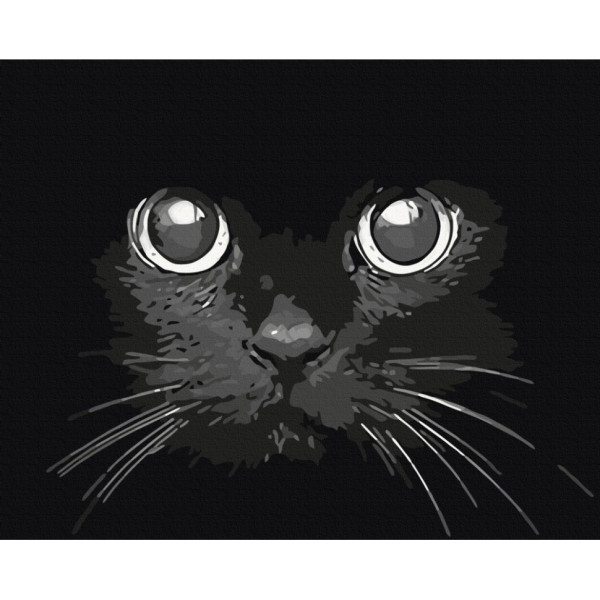 Картина за номерами "Погляд ночі" BS52234, 40x50 см