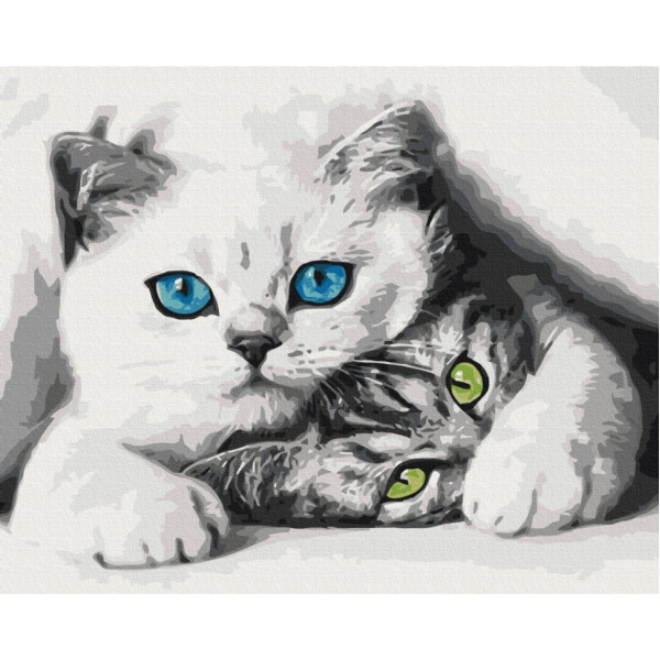 Картина за номерами "Муркотики" BS51695, 40x50 см