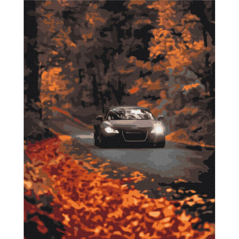 Картина за номерами "Осіння дорога" BS53291, 40x50 см