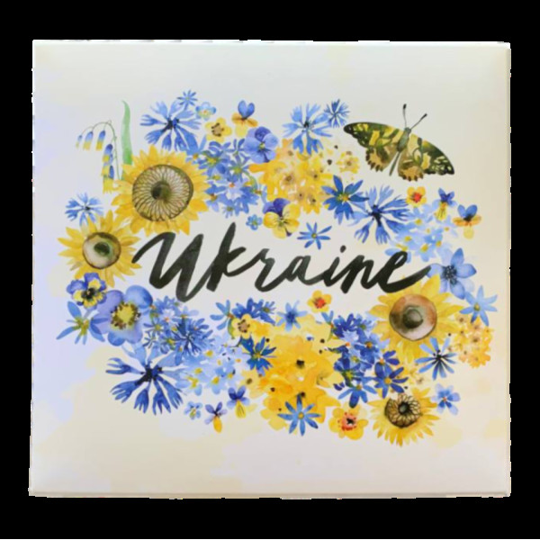 Коробка Україна 200*200*30 KPK59