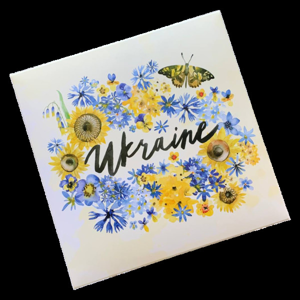 Коробка Україна 200*200*30 KPK59