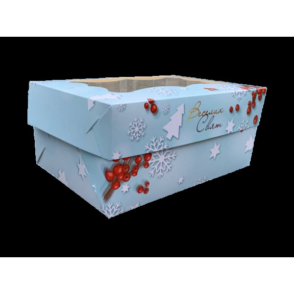 Коробка подарункова 250х170х110 мм Новий рік 2023