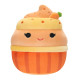 М'яка іграшка Капкейк Кейша Squishmallows SQER00813, 13 см (SQER00813)