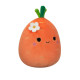 М'яка іграшка Морквина Кароліна Squishmallows SQER00909, 13 см (SQER00909)