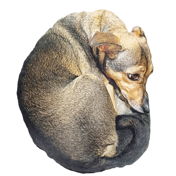 Дитяча м'яка іграшка "Собака Маня" DOG-M 42 см (DOG-M)