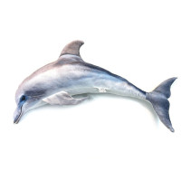 Дитяча м'яка іграшка "Дельфін" DOL, розмір 80 см  (DOL)