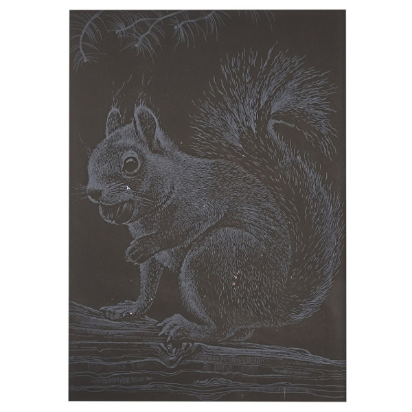 Гравюра А5 "Білочка" ГрА5с-22 економ варіант у пакеті 21 х 14,8 см (ГрА5с-22)