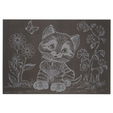 Гравюра А5 "Котик-2" ГрА5с-28 економ варіант у пакеті 21 х 14,8 см (ГрА5с-28)