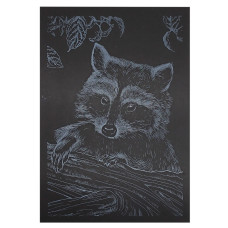 Гравюра А5 "Єнот" ГрА5с-24 економ варіант у пакеті 21 х 14,8 см (ГрА5с-24)