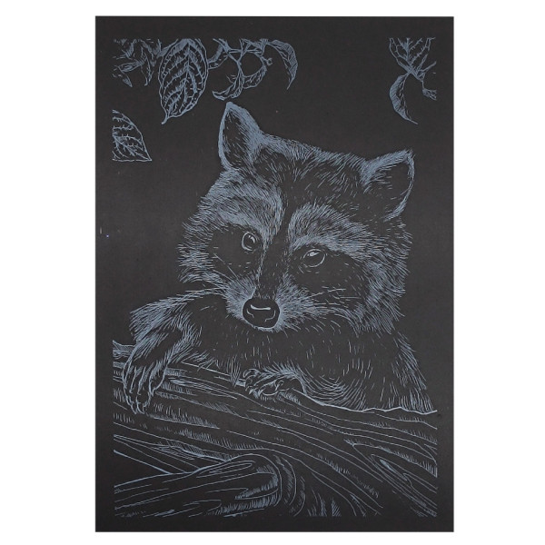 Гравюра А5 "Єнот" ГрА5с-24 економ варіант у пакеті 21 х 14,8 см (ГрА5с-24)