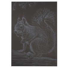 Гравюра А5 "Білочка" ГрА5с-22 економ варіант у пакеті 21 х 14,8 см (ГрА5с-22)