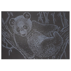 Гравюра А5 "Панда" ГрА5с-21 економ-варіант у пакеті 21 х 14,8 см (ГрА5с-21)