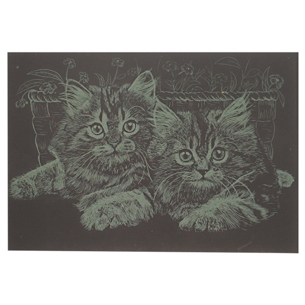Гравюра А5 "Котики" ГрА5з-3 економ варіант у пакеті 21 х 14,8 см (ГрА5з-3)
