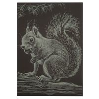 Гравюра А5 "Білочка" ГрА5з-13 економ варіант у пакеті 21 х 14,8 см (ГрА5з-13)