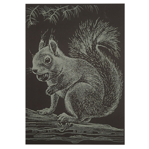 Гравюра А5 "Білочка" ГрА5з-13 економ варіант у пакеті 21 х 14,8 см (ГрА5з-13)