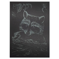 Гравюра А5 "Єнот" ГрА5з-10 економ варіант у пакеті 21 х 14,8 см (ГрА5з-10)