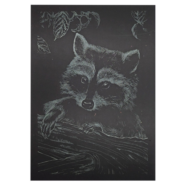 Гравюра А5 "Єнот" ГрА5з-10 економ варіант у пакеті 21 х 14,8 см (ГрА5з-10)
