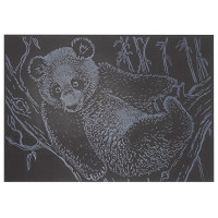 Гравюра А5 "Панда" ГрА5с-21 економ-варіант у пакеті 21 х 14,8 см (ГрА5с-21)