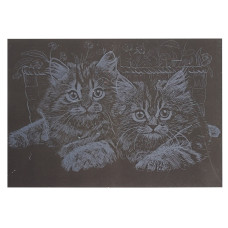 Гравюра А5 "Котики" ГрА5с-20 економ-варіант у пакеті 21 х 14,8 см (ГрА5с-20)