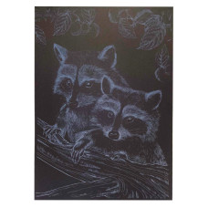 Гравюра А4 "Енот" ГрА4-16с эконом вариант в пакете 29,7х21 см(ГрА4-16с)