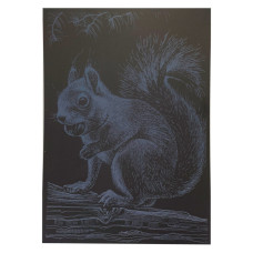 Гравюра А4 "Белка" ГрА4-1с эконом вариант в пакете 29,7х21 см(ГрА4-1с)