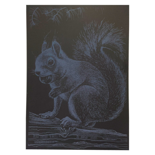 Гравюра А4 "Білка" ГрА4-1с економ варіант в пакеті 29,7х21 см (ГрА4-1с)