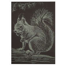 Гравюра А5 "Білочка" ГрА5з-13 економ варіант у пакеті 21 х 14,8 см (ГрА5з-13)