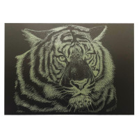 Гравюра А4 "Тигр" ГрА4-5з економ варіант в пакеті 29,7х21 см (ГрА4-5з)