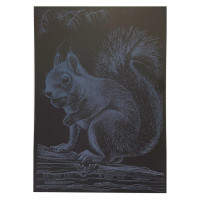 Гравюра А4 "Білка" ГрА4-1с економ варіант в пакеті 29,7х21 см (ГрА4-1с)