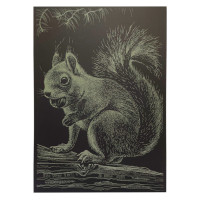 Гравюра А4 "Білка" ГрА4-1з економ варіант в пакеті 29,7х21 см (ГрА4-1з)