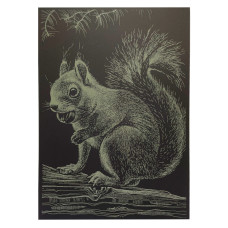 Гравюра А4 "Білка" ГрА4-1з економ варіант в пакеті 29,7х21 см (ГрА4-1з)